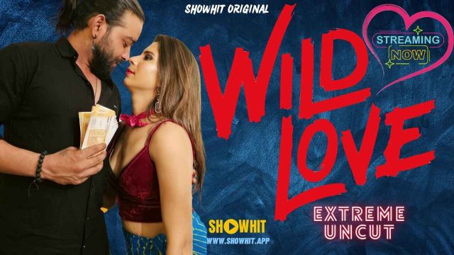 Wild Love 2024 Show Hit Originals Hindi Uncut XXX Video